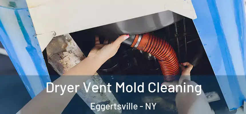 Dryer Vent Mold Cleaning Eggertsville - NY