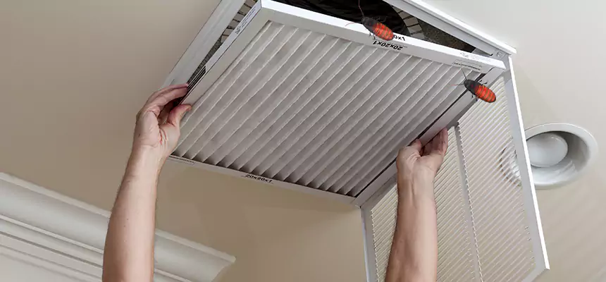 Preventive Cockroach-Proofing for Ducts in Eggertsville