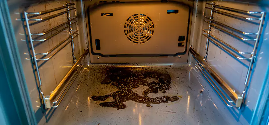 Our Dryer Vent Mold Cleaning Services in Eggertsville, NY