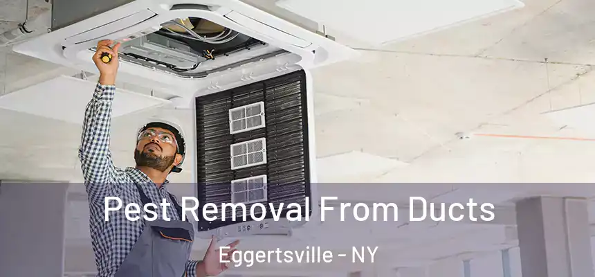  Pest Removal From Ducts Eggertsville - NY
