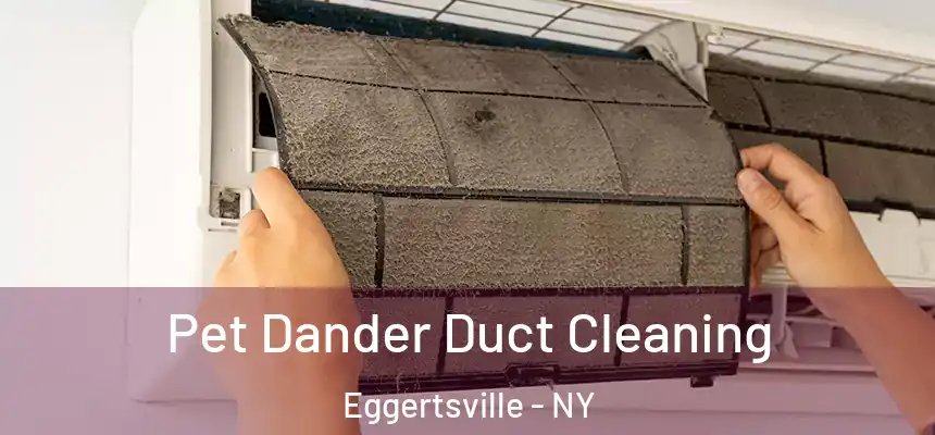 Pet Dander Duct Cleaning Eggertsville - NY