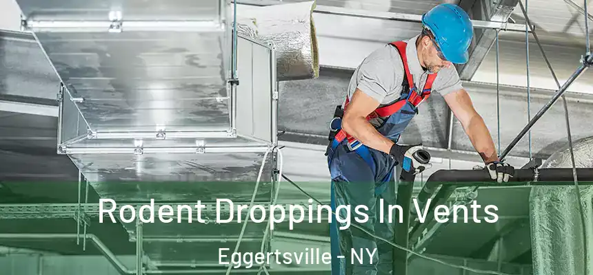  Rodent Droppings In Vents Eggertsville - NY