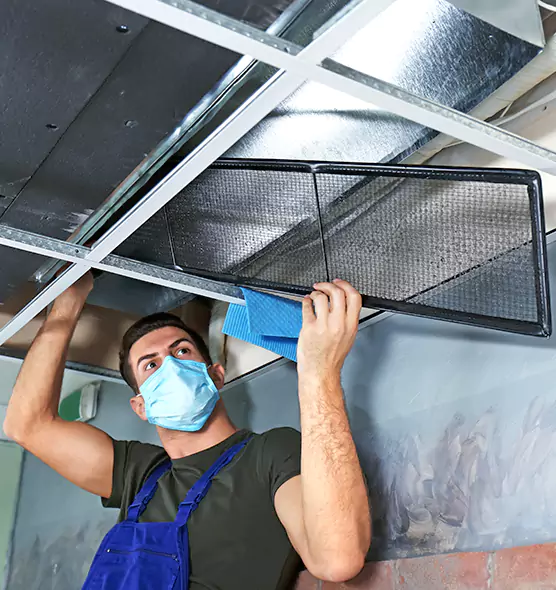 About Air Duct Bacteria Removal in Eggertsville