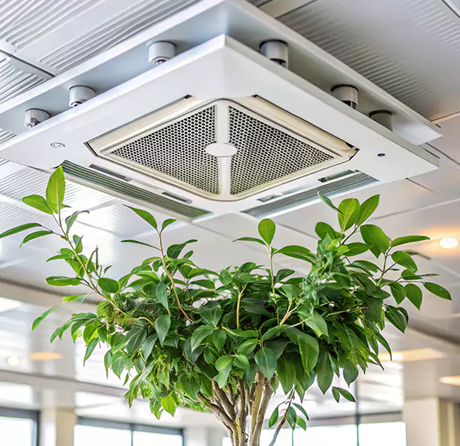 Why Homeowners & Businesses Trust Us in Eggertsville, NY?